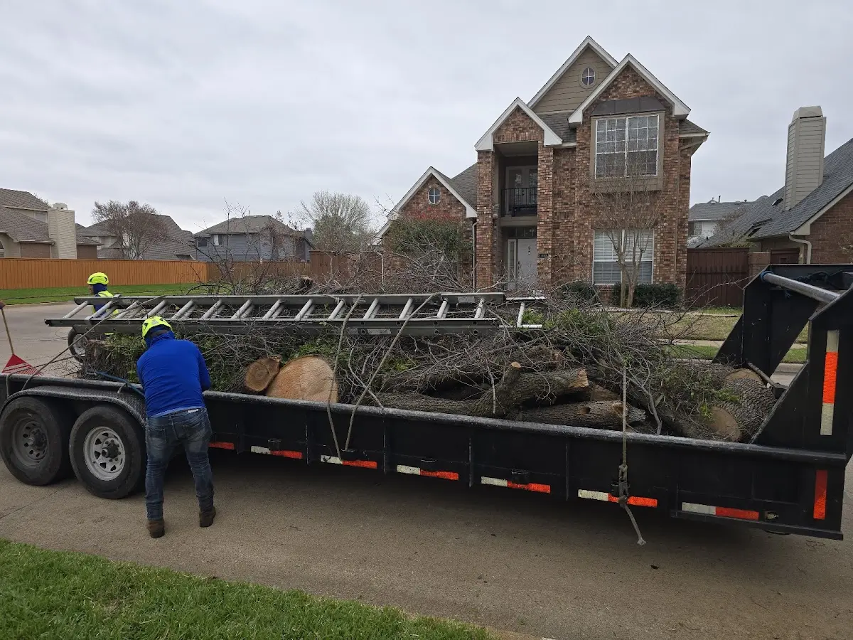Expert Tree Pest Control with proper safety equipment in Berlin